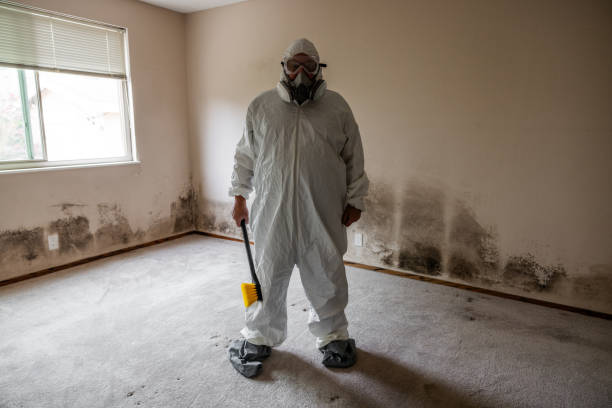 Best Post-Flood Mold Remediation in Rocky Point, NC